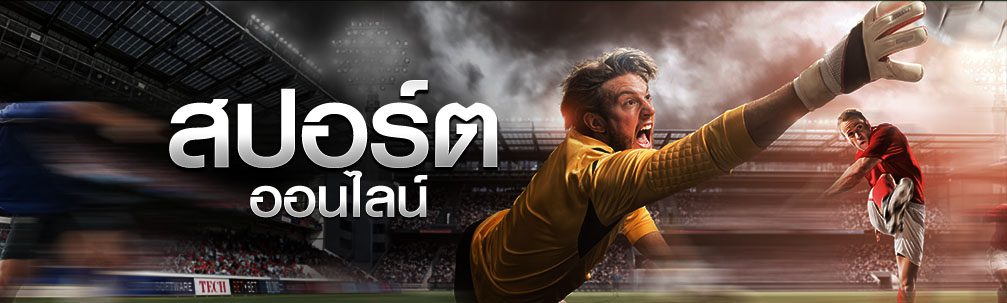 banner sport